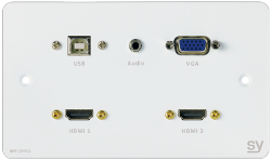 Panel ścienny SY WP-2HVU-BW 2x HDMI, 1x VGA i Audio, 1x USB-B  (Biały) UK